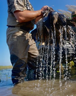Coastal Bend Duck Assault