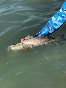 Corpus Christi Half-Day Trip