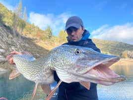 Monster Pike High Mountain Lakes