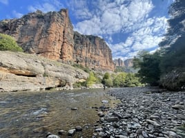 Monster Pike High Mountain Lakes