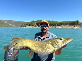 Monster Pike High Mountain Lakes