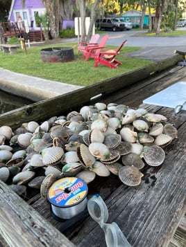 Scalloping Adventure - 24’ Skipjack