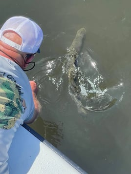 Tampa Bay Rod-Bender