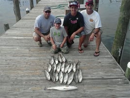 Orange Beach Catch