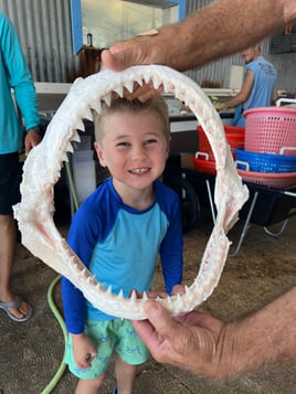 Shark Trip - 26’ Pathfinder