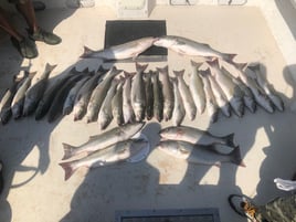 Annapolis Fishing Charters