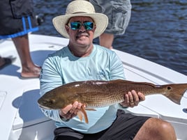 Inshore Fishing Tampa Bay