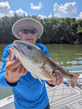 Tampa Bay Inshore Fishing