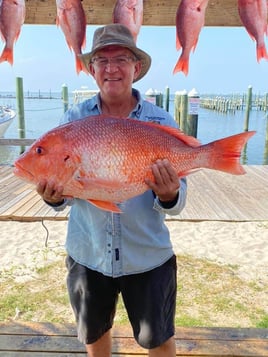 33 Foot Palmetto