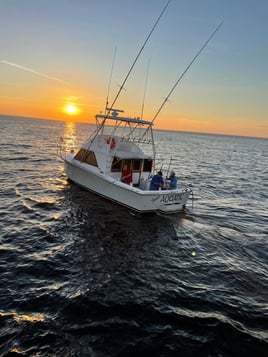 PCB Bottom Fishing Adventure