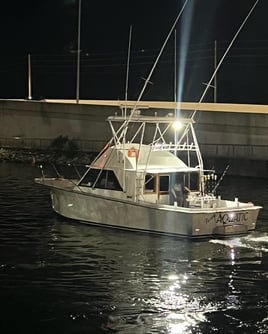 PCB Bottom Fishing Adventure