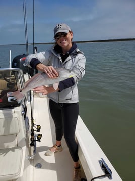 Galveston Bay Trophy Trout