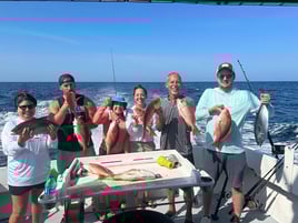 PCB Half Day Combo Trip