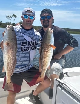 Adrenaline-Pumping PCB Trip
