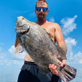 Nearshore Rigs - 246 Robalo Cayman