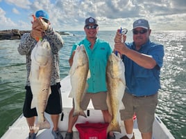 Port O'Connor Bay Trip