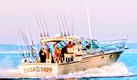 Muskegon Salmon Adventure