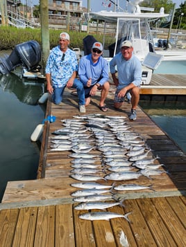 NC Sportfish Adventure