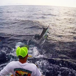 MoonWalker - Full Day Offshore