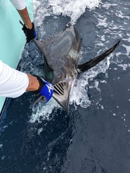 MoonWalker - Full Day Offshore