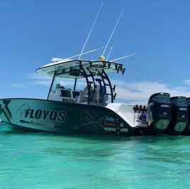 Orange Beach Bottomfishing Special