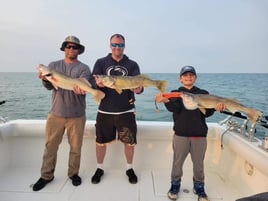 Lake Erie Walleye Roundup