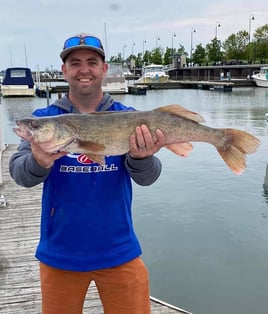 Lake Erie Walleye Roundup