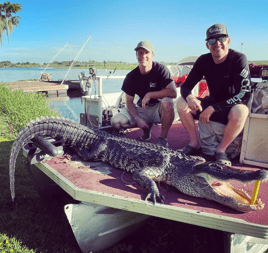 4-6' Central FL Gator Hunt