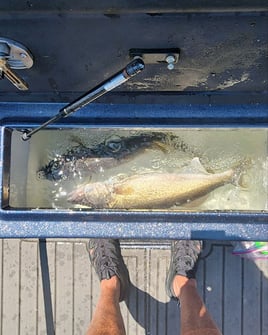 Half-Day Lake Erie Hook-Up