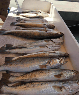 South Padre Flats Adventure