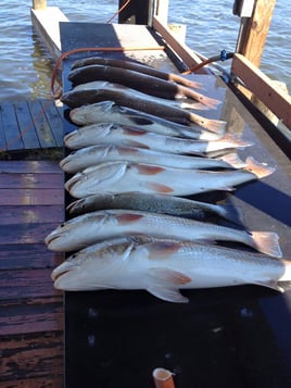 South Padre Flats Adventure