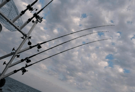 Lake Erie Catch-Em-Up Trip