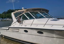 Walleye Trolling Afternoon (PM)