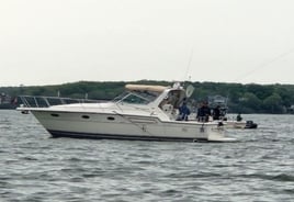 Walleye Trolling Morning (AM)