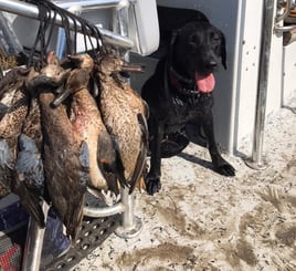 Texas Coast Teal hunt