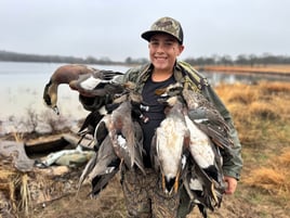 Whacking Ducks in North Rockport