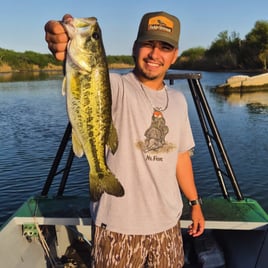 Falcon Lake Bass And Cats