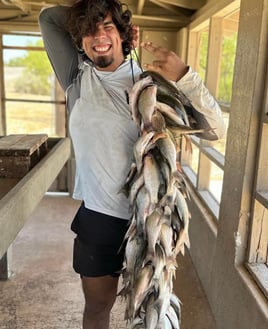 Falcon Lake Bass and Cats