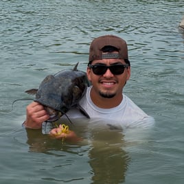 Falcon Lake Bass and Cats
