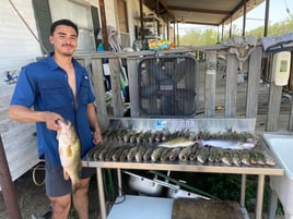 Falcon Lake Bass and Cats