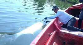 "Silver Kings" Tarpon Adventure