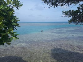 "Silver Kings" Tarpon Adventure