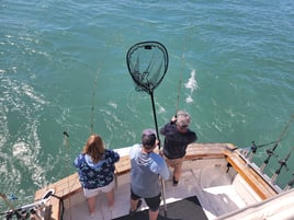 Lake Erie Caster - 37' Pace