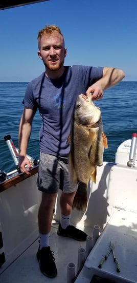 Lake Erie Walleye Trolling