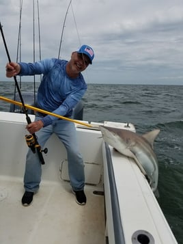 Biloxi Barrier Island Trip