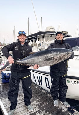 Coronado Islands Expedition