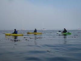 Pismo Beach Kayak Fishing Special