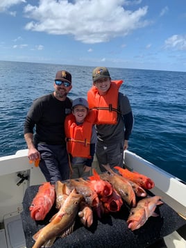 Local Rockfish and Yellowtail
