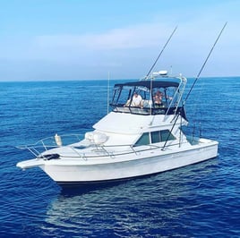 Close Offshore All Ages Trip