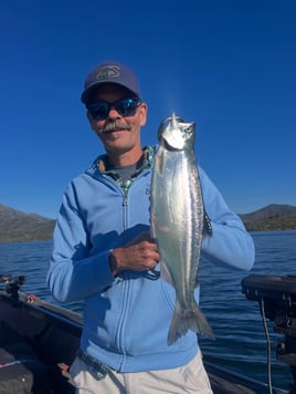 Sacramento River Kings